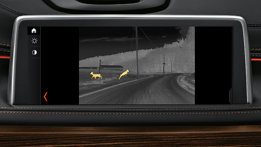 BMW Night Vision mit Dynamic Light Spot BMW Night Vision mit Dynamic Light Spot